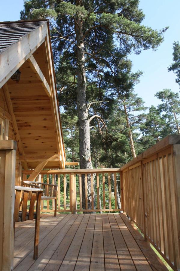 Cabane Lodge Domaine Du Lac Chambon Murol Exterior foto