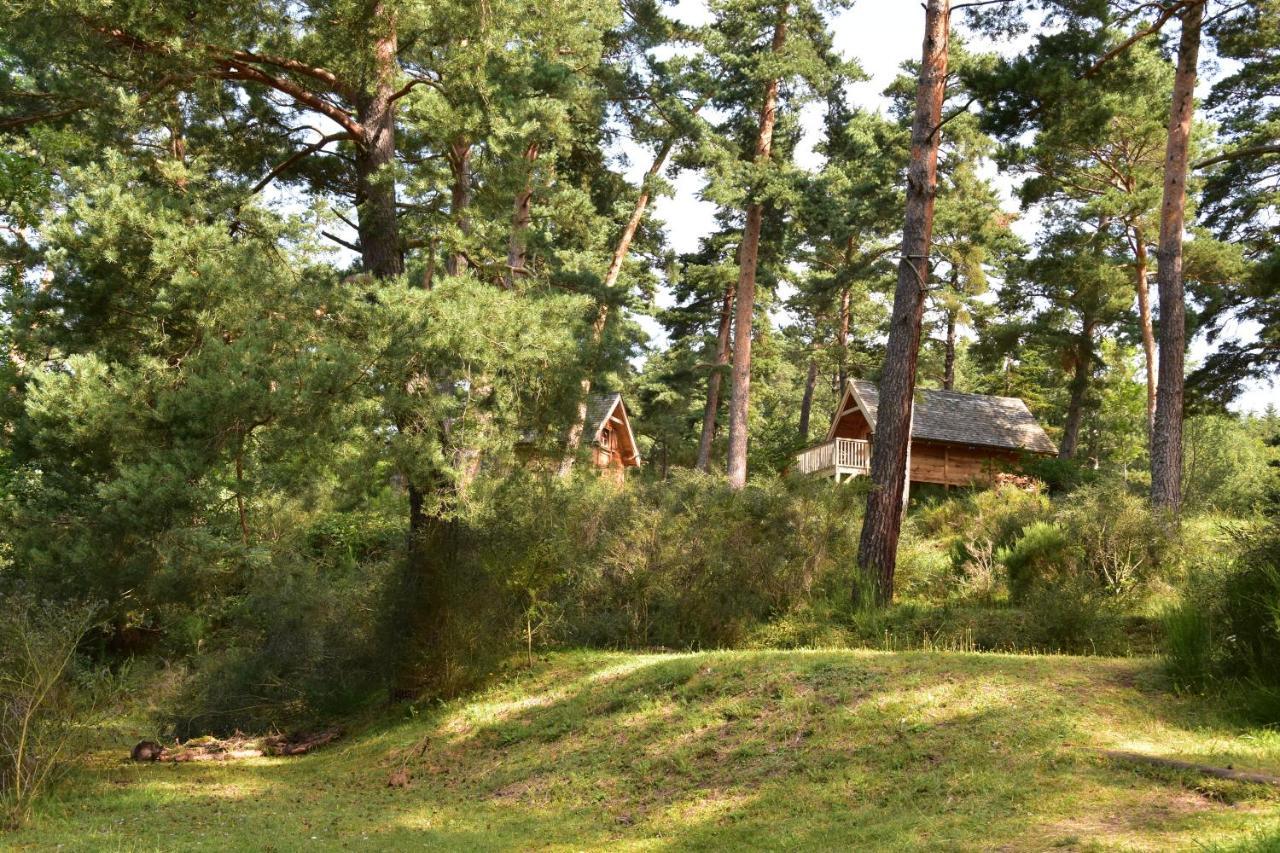 Cabane Lodge Domaine Du Lac Chambon Murol Exterior foto